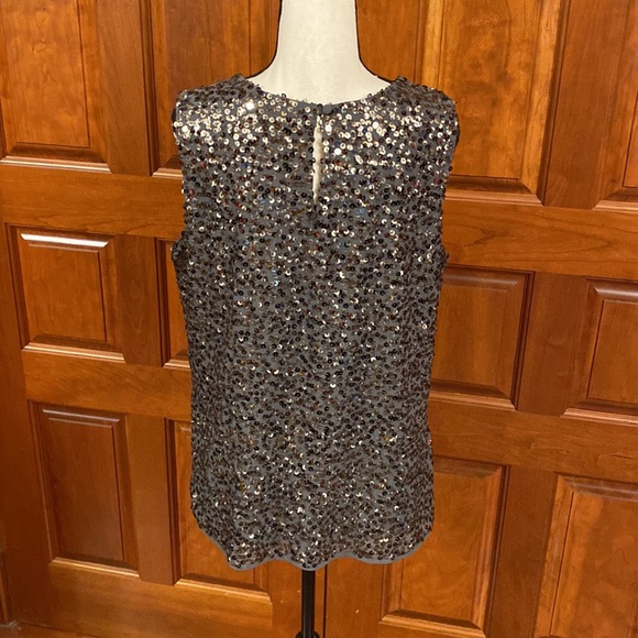 Gray Sequin Top - Picture 5 of 6